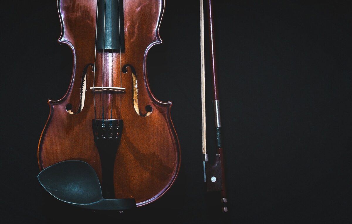 Violin Store in Pasadena | Things to Consider Before Buying a Violin