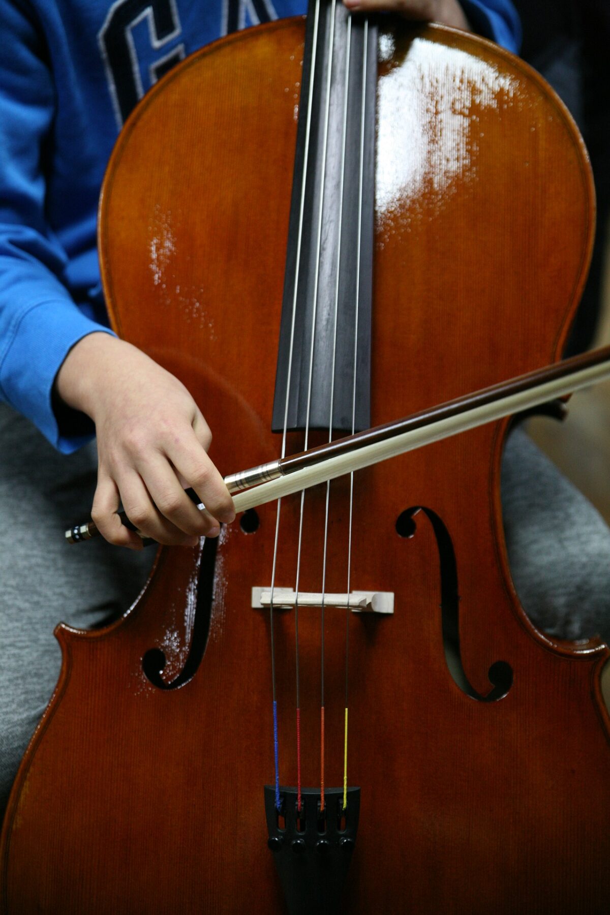 The Best Online Cello Lessons: Facts About Learning To Play The Cello.