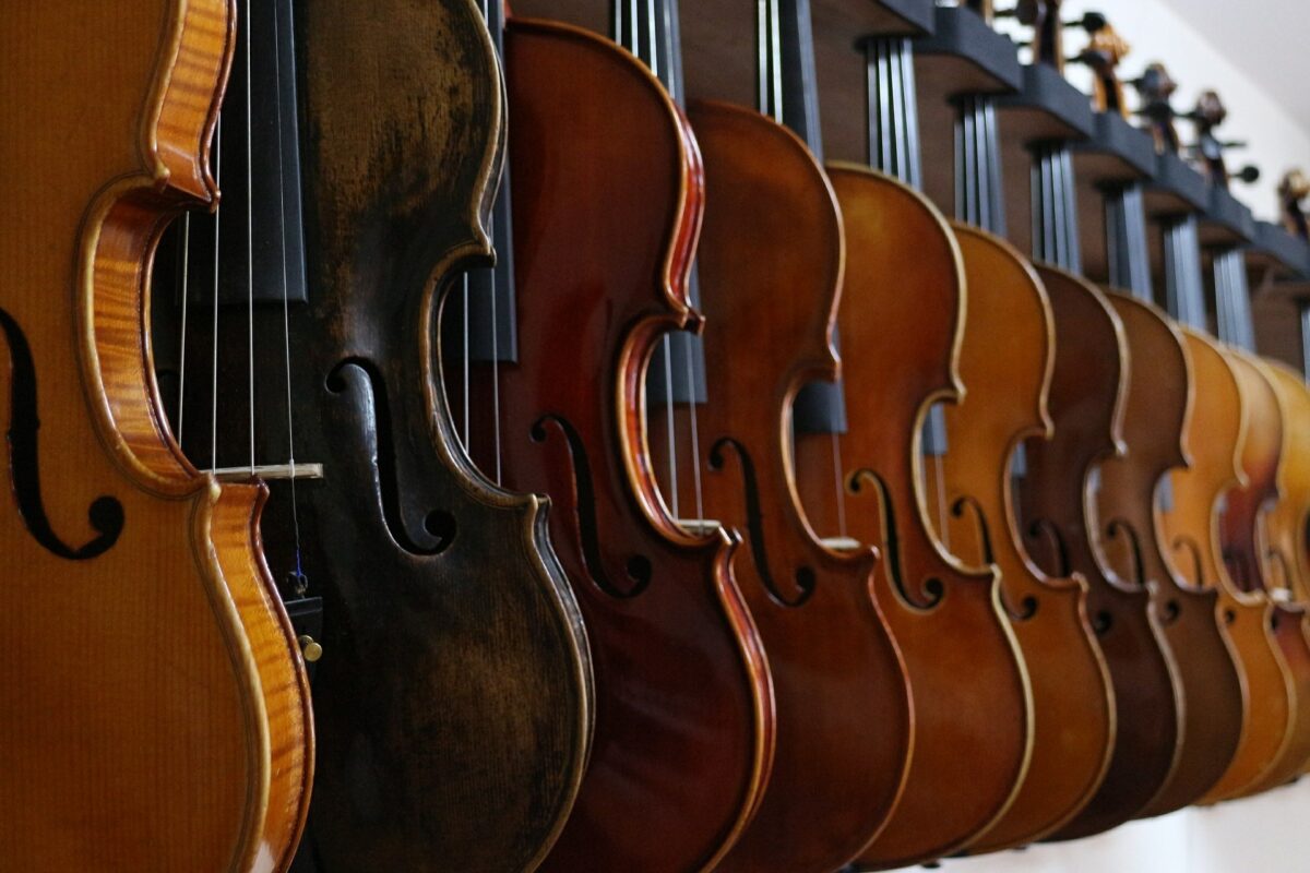 The Violin Shop in Pasadena | Get The Right Violin From The Violin Shop