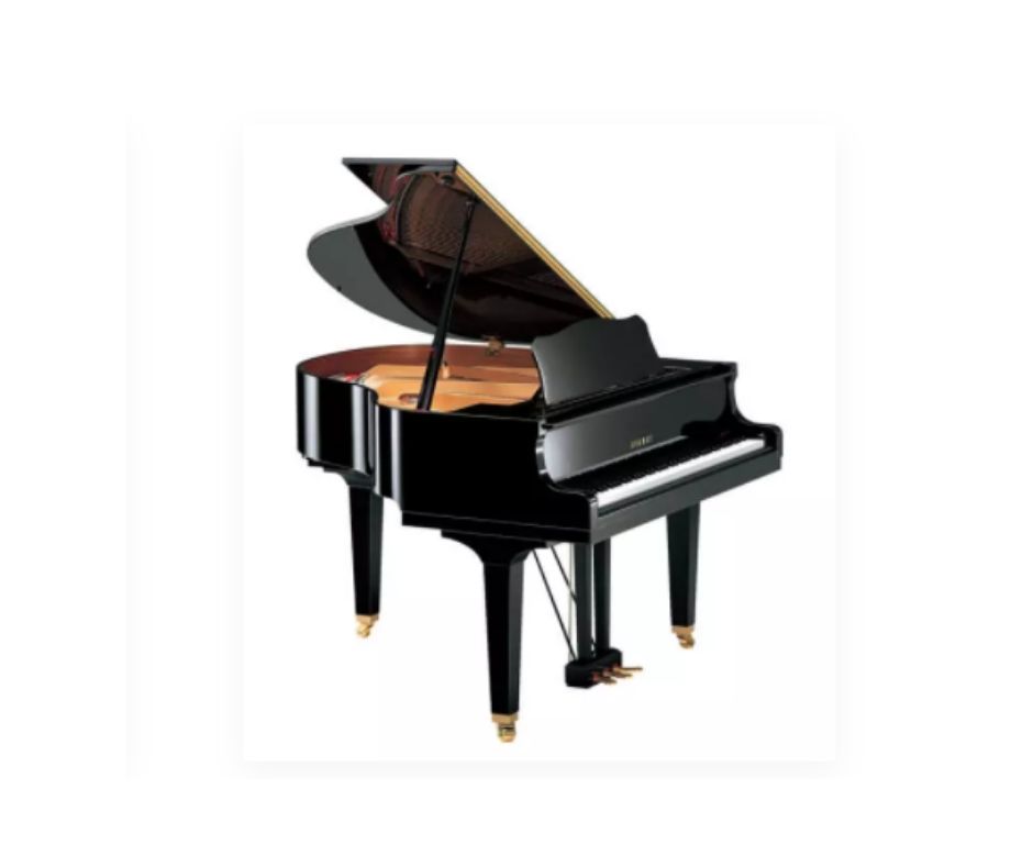 Piano Store in Arcadia | Buy It From The Best Piano Store | Lee's Music 