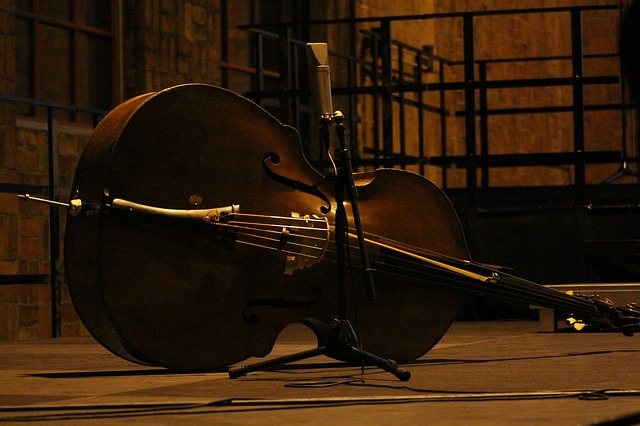 Cello Repair Near Me | Find The Best Cello Repairing Store Near You